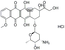 25316-40-9    鹽酸多柔比星    Doxorubicin hydrochloride