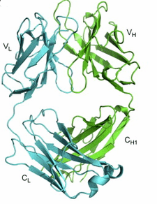 Ofatumumab奧法木單抗#CAS679818-59-8