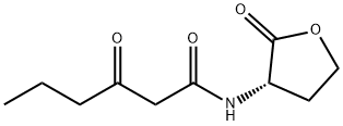 143537-62-6     N-(BETA-KETOCAPROYL)-DL-HOMOSERINE LACTONE C