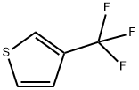 86093-77-8   3-(三氟甲基)噻吩    3-(TRIFLUOROMETHYL)THIOPHENE