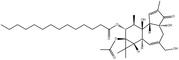 16561-29-8    佛波醇12-十四酸酯13-乙酸酯   PHORBOL 12-MYRISTATE 13-ACETATE