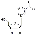 17720-18-2    煙酸核糖    nicotinic acid ribonucleoside