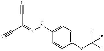 370-86-5    碳酰氰-4-三氟甲氧基苯腙    FCCP