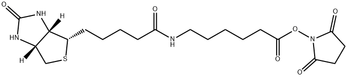 72040-63-2   生物素化-epsilon-氨基己酸-N-羥基丁二酰亞胺活化酯     Succinimidyl 6-(biotinamido)hexanoate