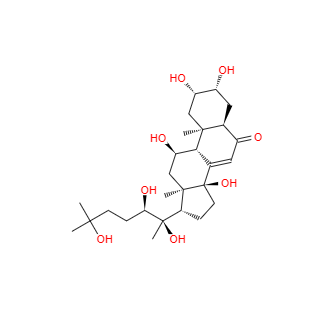 CAS：41451-87-0，筋骨草提取物 