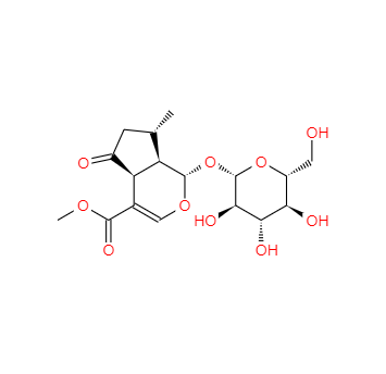 CAS：548-37-8，馬鞭草苷 