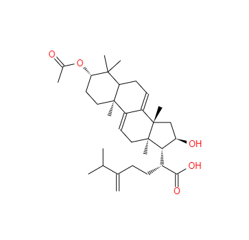 CAS：77012-31-8，去氫茯苓酸 