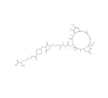 CAS：1281816-04-3，Lys-SMCC-DM1 