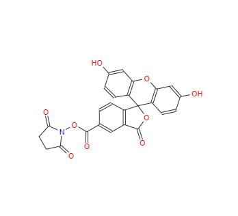 CAS：92557-80-7，5-羧基熒光素琥珀酰亞胺酯 