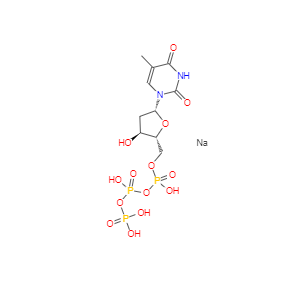 CAS：27821-54-1，胸苷-5'-三磷酸三鈉鹽 