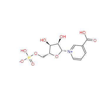 CAS：321-02-8，煙酸單核苷酸