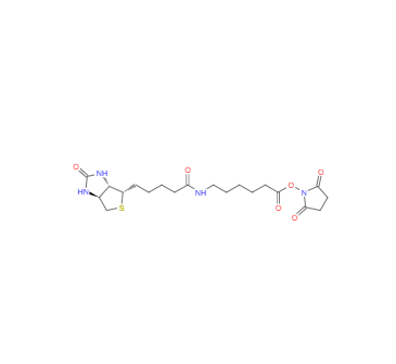 CAS：72040-63-2，N-琥珀酰亞氨基6-生物素氨己酸