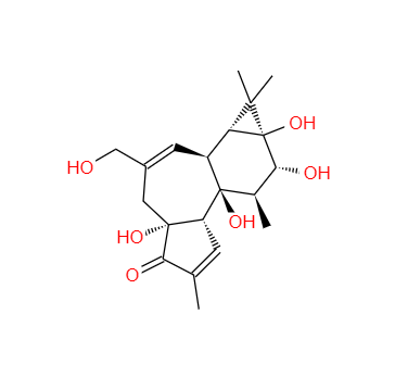 CAS：17673-25-5，佛波醇 