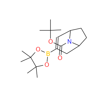 CAS：900503-08-4，8-氮雜雙環(huán)[3,2,1]辛烯-8-叔丁?；?3-硼酸酯