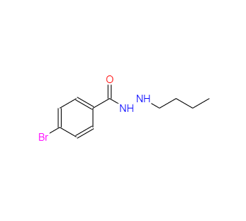 CAS：537672-41-6，4-溴-N'-丁基苯甲酰肼 