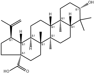 472-15-1  白樺脂酸   Betulinic acid 
