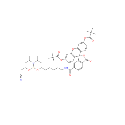  CAS：204697-37-0，5'-熒光素氨基磷酸酯
