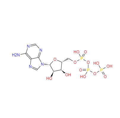 CAS：56-65-5，三磷酸腺苷 