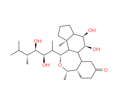 CAS：78821-43-9，24-表油菜素內酯