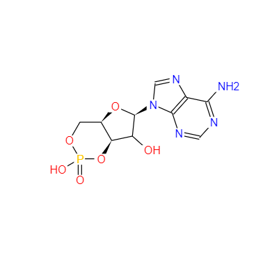 CAS：60-92-4，環(huán)磷酸腺苷 
